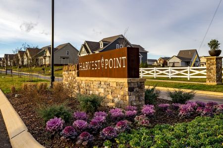 Harvest Point by Celebration Homes in Spring Hill - image