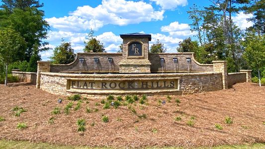 The Enclave at Flat Rock Hills by D.R. Horton in Stonecrest - photo 1 1