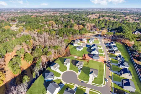 Hickory Grove by Taylor Morrison in Sanford - image