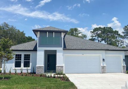 Pinecone Reserve by William Ryan Homes in Brooksville - photo 10 10