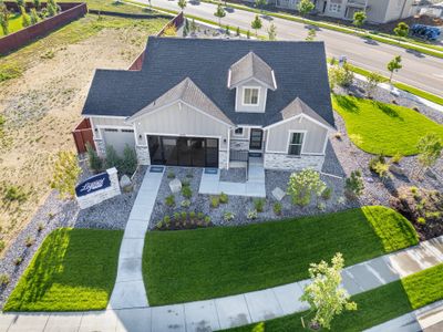 RainDance - 60s by American Legend Homes in Windsor - image 4