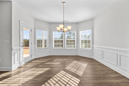 Appleton South at King's Grant by Dream Finders Homes in Fayetteville - image 17