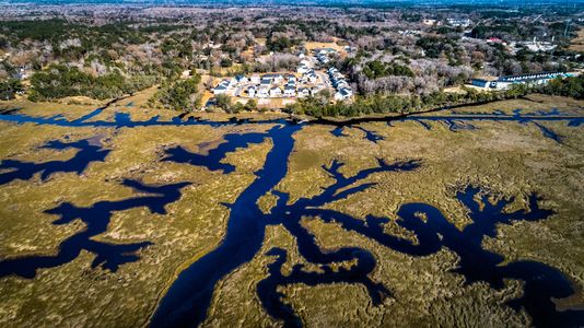 Cordgrass Landing by Mungo Homes in Johns Island - photo 4 4