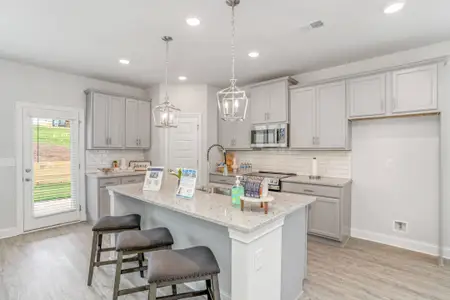 Harley Farms South by Peachtree Building Group in Bonaire - image 7