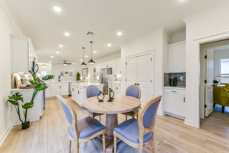 Aldeana by DSLD Homes in Bonney - image 10