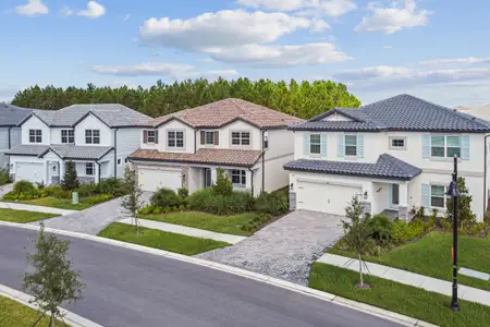 Shortgrass at Two Rivers by M/I Homes in Zephyrhills - image 6