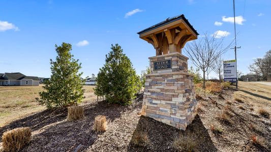 Alder Pond by D.R. Horton in Campobello - image