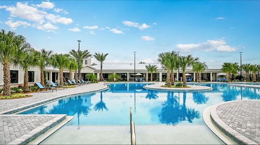 Angeline Active Adult: Active Adult Manors by Lennar in Land O' Lakes - image 12