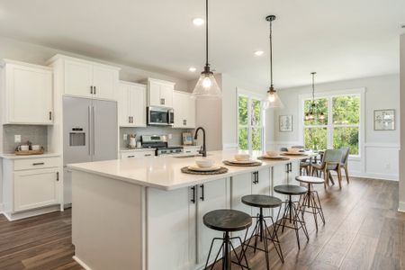 Belvedere Plantation by Stevens Fine Homes in Hampstead - image 6