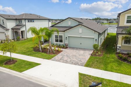 Berry Bay by M/I Homes in Wimauma - photo 33 33