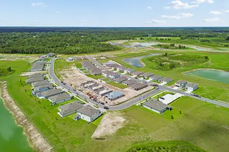Fox Branch by M/I Homes in Lakeland - image