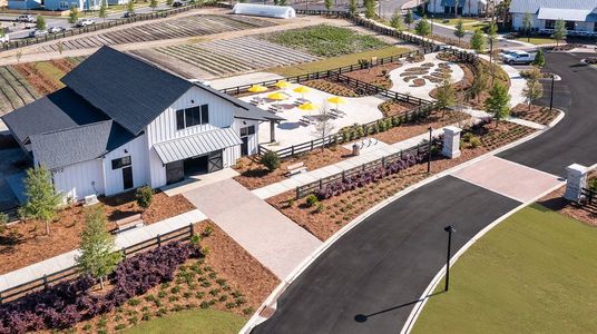 Horizons at Carnes Crossroads | 55+: Carriage Collection 22