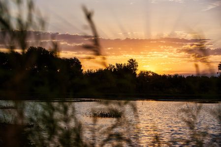 Painted Tree Woodland District 70 by Bloomfield Homes in McKinney - image 10