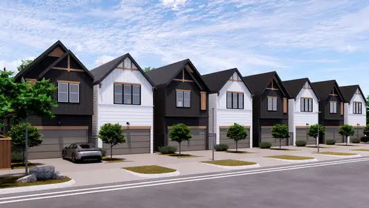 Cebra Oaks by ONYX Residential Group in Houston - image