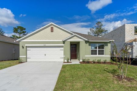 Oak Pointe by D.R. Horton in Apopka - photo 16 16