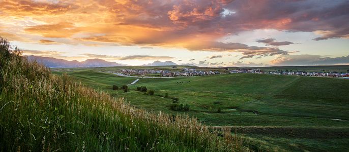 Candelas Townhomes by Tri Pointe Homes in Arvada - photo 6 6