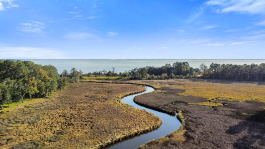 Starburst at Hammock Bay by DSLD Homes in Freeport - image 19