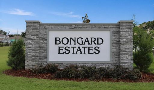 Bongard Estates by Richmond American Homes in Clermont - image