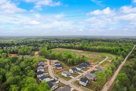 Collins Cove by Great Southern Homes in Chapin - image 18