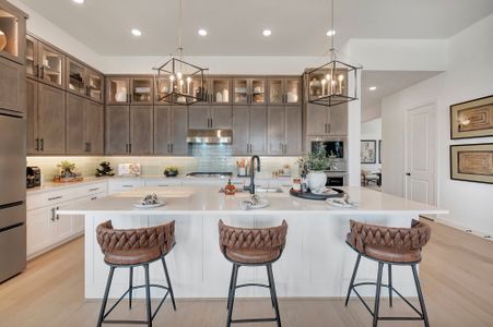 The George - Enclave Collection by David Weekley Homes in Richmond - image 6