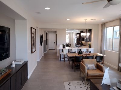 Paradisi Discovery Collection 6