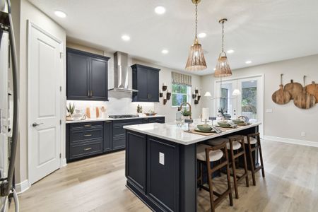 Shortgrass at Two Rivers by M/I Homes in Zephyrhills - image 10