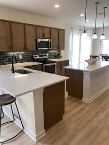 Emberly by DSLD Homes in Beasley - photo 6 6