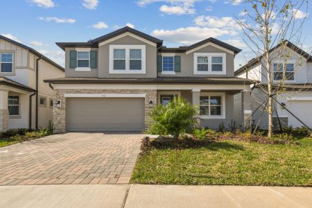 Shortgrass At Two Rivers by M/I Homes in Zephyrhills - photo 6 6