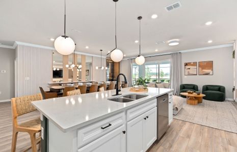 Windsor Cay Resort by Pulte Homes in Clermont - image 8