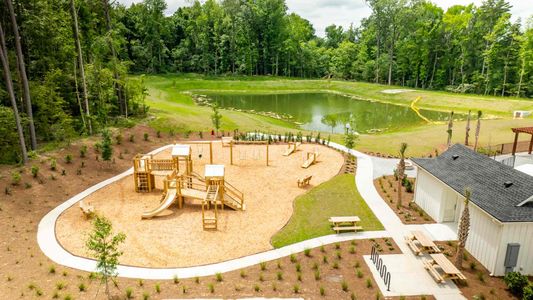 Carolina Groves Townhomes by D.R. Horton in Moncks Corner - photo 11 11