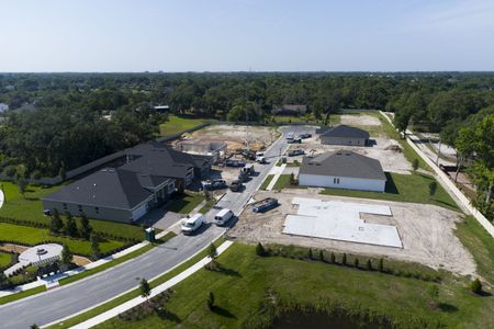 Francisco Park by M/I Homes in Oviedo - photo 5 5