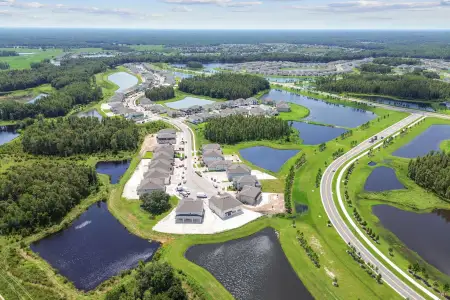 K-Bar Ranch Gilded Woods by M/I Homes in Tampa - photo 2 2