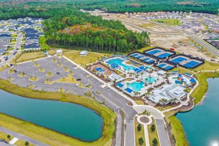 Cherry Elm at SilverLeaf by Dream Finders Homes in St. Augustine - image 6