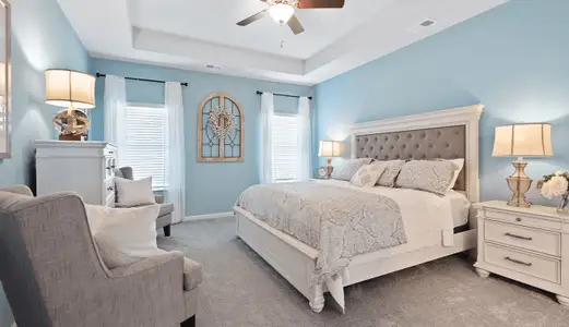 Lexington Woods South by Smith Douglas Homes in Fayetteville - image 18