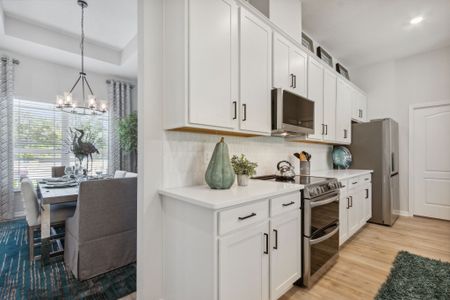 Weston Woods by SEDA New Homes in Jacksonville - image 8