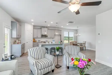 Harley Farms South by Peachtree Building Group in Bonaire - image 8