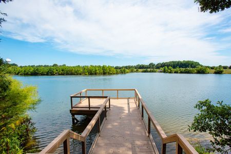 Mews at Holding Village by Tri Pointe Homes in Wake Forest - photo 5 5