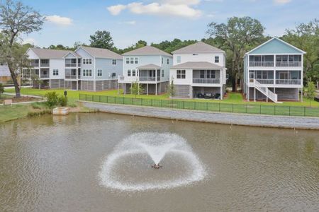 Liberty Hill Farm by K. Hovnanian® Homes in Mount Pleasant - photo 5 5