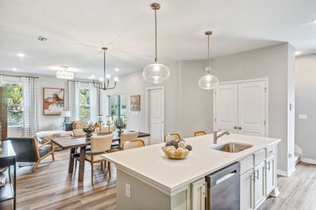 Connors Cove by Hartizen Homes in Eustis - image 7