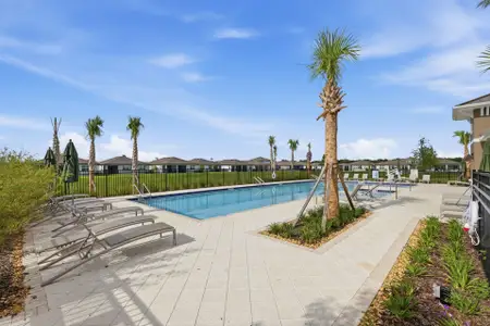 Highfield at Twisted Oaks by Park Square Residential in Wildwood - image 3