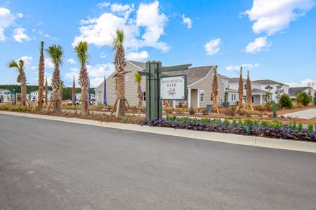 Magnolia Park by Dream Finders Homes in Hardeeville - image