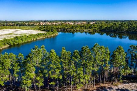 Bent Pine Preserve by GHO Homes in Vero Beach - photo 6 6