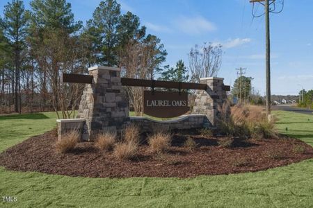 Laurel Oaks by D.R. Horton in Sanford - photo 0