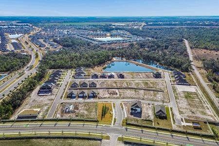 Berry Bay by M/I Homes in Wimauma - image 12