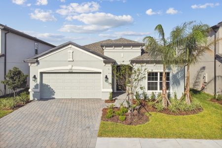 K-Bar Ranch Gilded Woods by M/I Homes in Tampa - photo 45 45