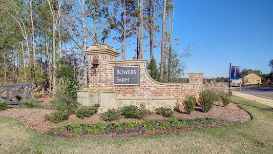 Bowers Farm by DRB Homes in Mcdonough - photo 50 50