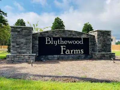 Blythewood Farms by Stanley Martin Homes in Blythewood - image