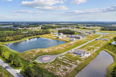 Shortgrass at Two Rivers by M/I Homes in Zephyrhills - image 11