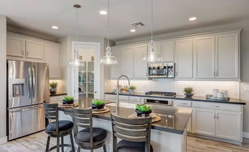 IronWing at Windrose by Brightland Homes in Litchfield Park - photo 27 27