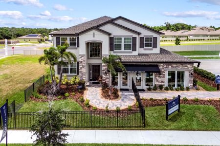 Berry Bay by M/I Homes in Wimauma - photo 41 41